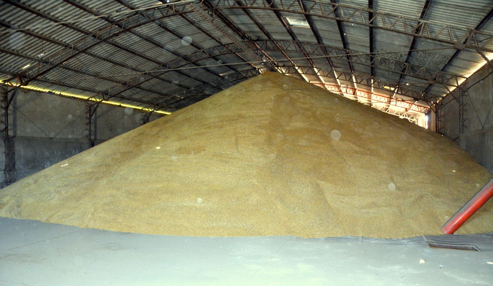 Galpón de almacenaje a granel